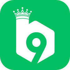 B9 Game App Logo – Official Green Icon with Crown