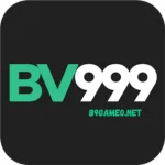 BV999 Game logo