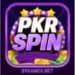 PKRSPIN Game